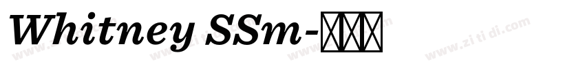 Whitney SSm字体转换
